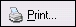 Print icon